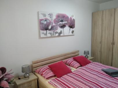 Chopok Juh Apartman Tatiana, Trangoska เดมานอฟสกา โดลินา ภายนอก รูปภาพ